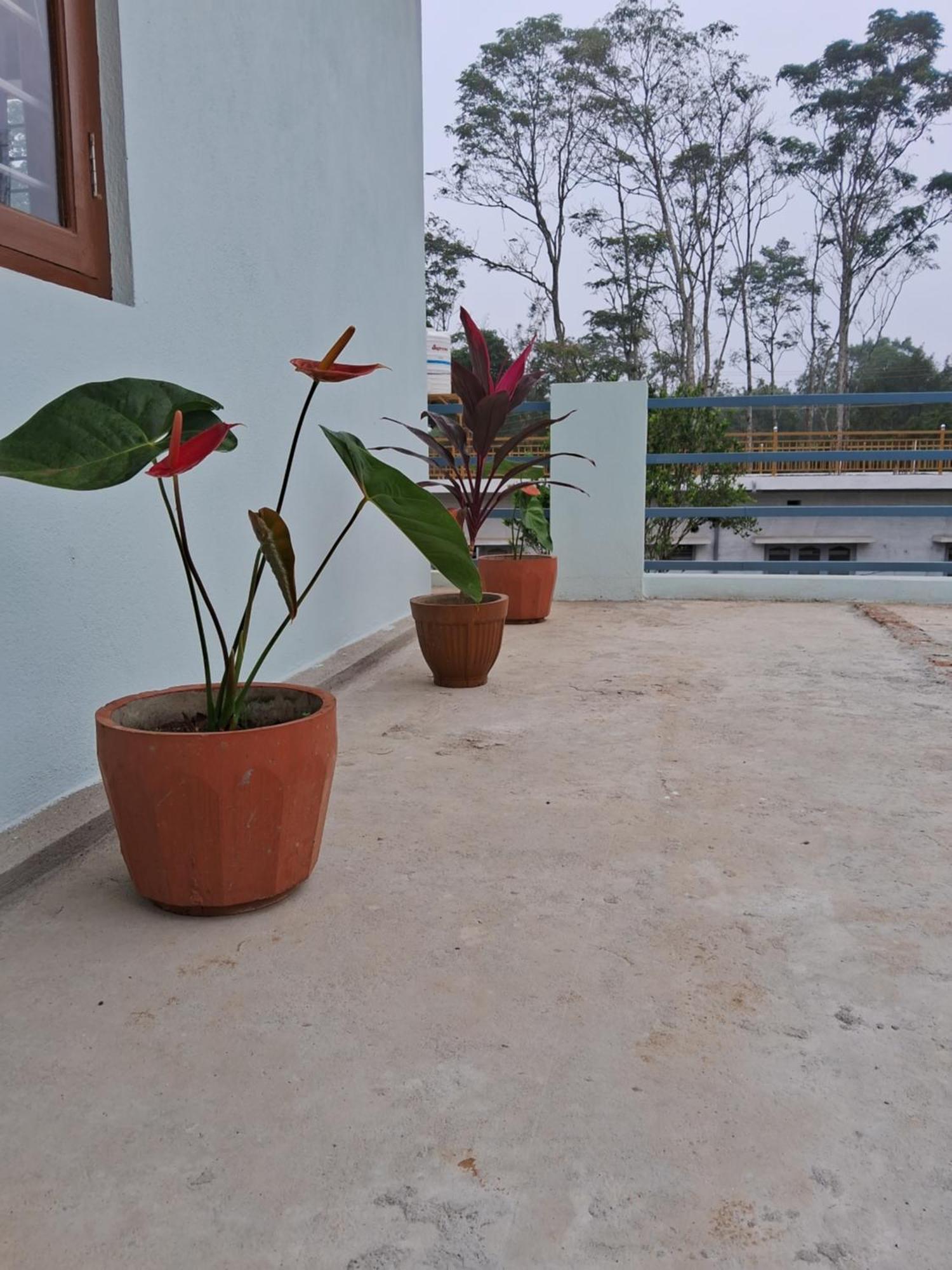 Coorg Teakwood Treasure Homestay Мадікері Екстер'єр фото